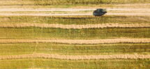 Aerial View Of Renault Duster Car SUV Parked Near Countryside Road In Summer Field Rural Landscape