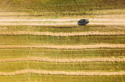Aerial View Of Renault Duster Car SUV Parked Near Countryside Road In Summer Field Rural Landscape