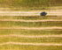 Aerial View Of Renault Duster Car SUV Parked Near Countryside Road In Summer Field Rural Landscape